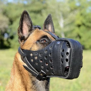 Усиленный намордник для атаки «Attack Training» дрессировка малинуа